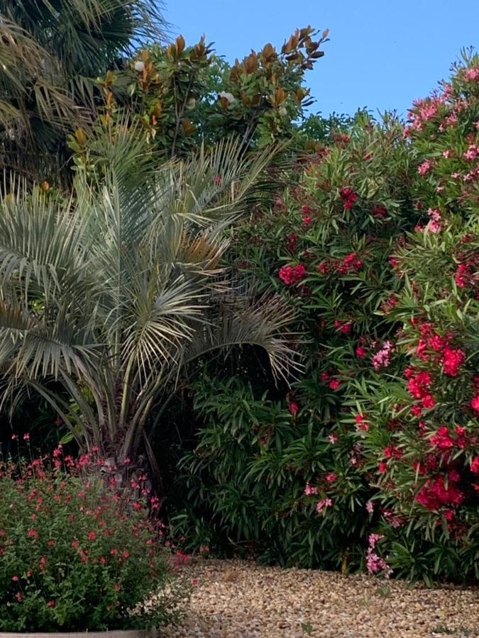 La Dolce Vita Occitane Conilhac-Corbières Dış mekan fotoğraf